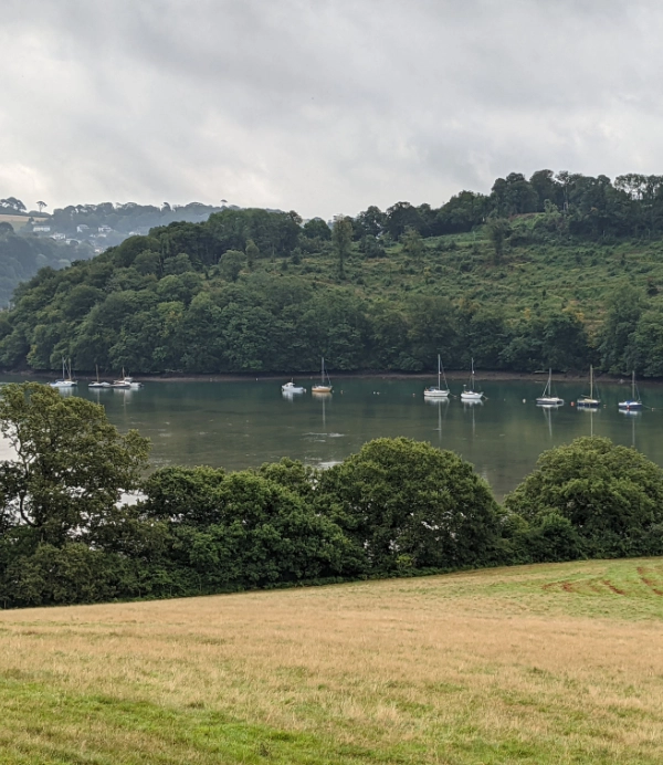 River Dart Moorings 2 Image of Moorings in Old Mill Creek on the River Dart in Devon