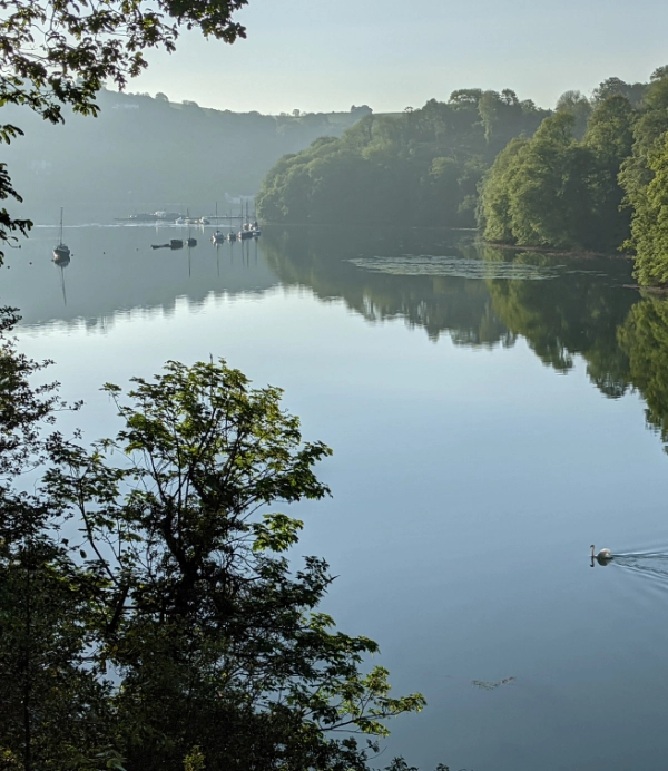 River Dart Moorings 3 Image of Moorings in Old Mill Creek on the River Dart in Devon