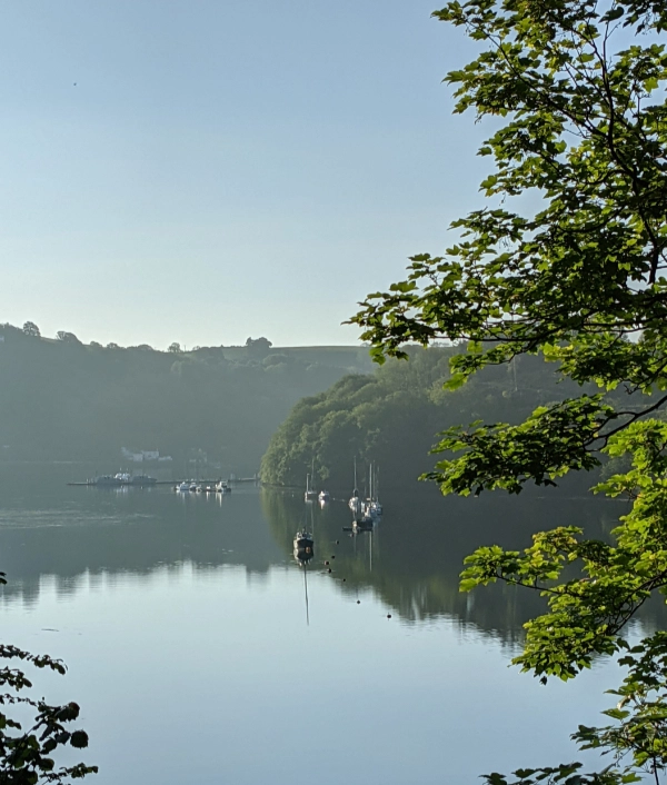 Image of Moorings in Old Mill Creek on the River Dart in Devon