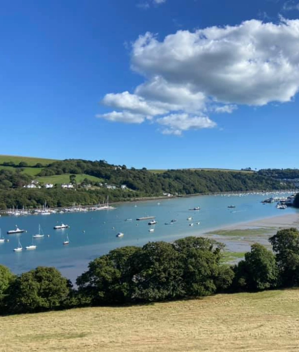 Image of Moorings in Old Mill Creek on the River Dart in Devon